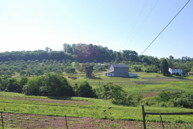 Upper Burrell Township A great place to live and work!