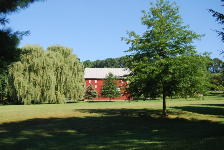 Township Information Upper Burrell Township