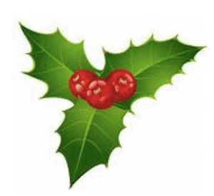 holly leaf